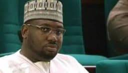 Bandits now feed our babies to their dogs ? Zamfara lawmaker cries out