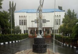 Anambra native doctors? absence stalls proceedings in court