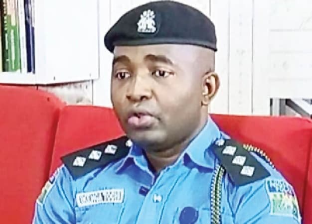 Police recover body hanging on tree in Anambra bush