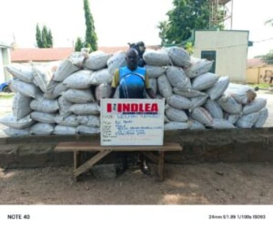   NDLEA nabs 2 octogenarians, others for alleged drug peddling
