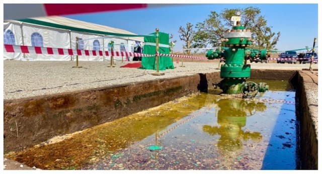 Tinubu approves licenses for Kolmani oil project