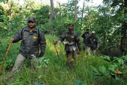 Armed Forest Guards a bold initiative ? Group