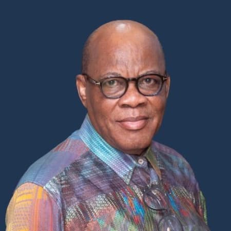 ‘I’d rather be imprisoned than obey a compulsory voting law’ — Agbakoba
