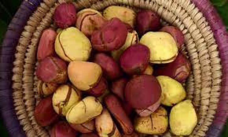 Why women don?t break kolanut in Igboland ? Monarchs, leaders