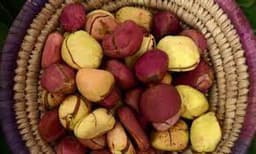 Why women don?t break kolanut in Igboland ? Monarchs, leaders