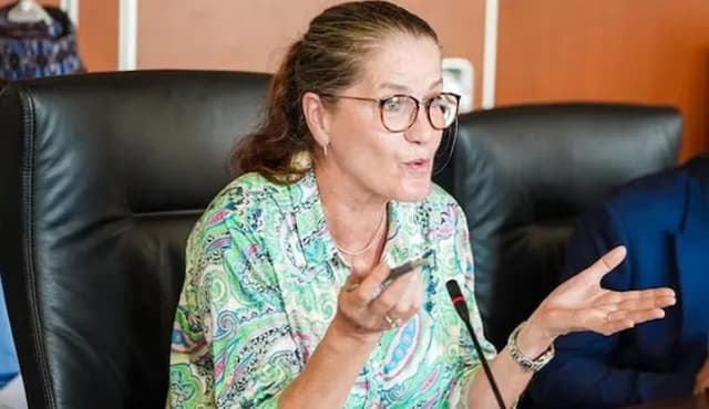 Germany depends on Nigeria to meet hydrogen needs, transition to green energy, says envoy