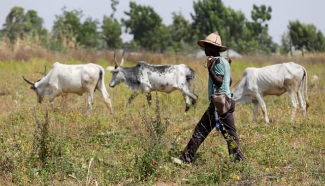 Delta profiles herders to curb clashes with farmers