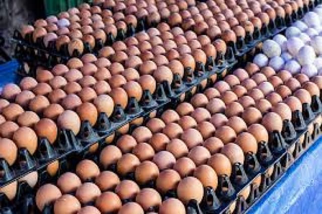 Eggs: Poultry farmers lament low patronage on reduced purchasing power