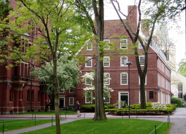 U.S. ban on Harvard online program sparks backlash from African alumni