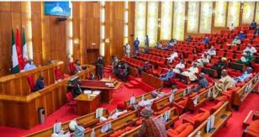 Senate passes Nigeria Police Trust Fund’s N124.2bn 2024 budget