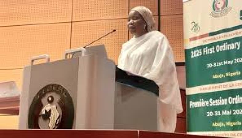 ECOWAS parliamentarian raises alarm over surge in terrorism across West Africa