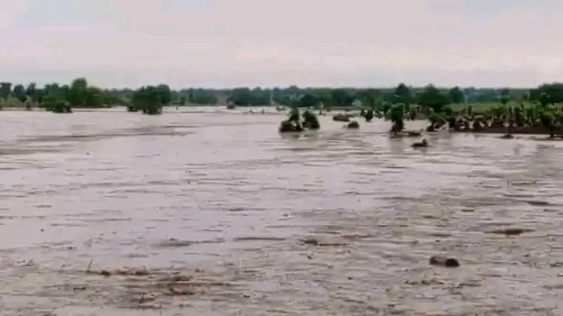 Many feared dead as flood ravages Niger community