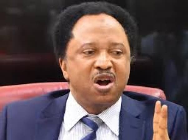 Mixed reactions trail Shehu Sani’s call for assessment of govs, lawmakers’ performance