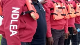 Eid-El-Kabir: NDLEA raids drug dens, arrests 36 suspects in Kano
