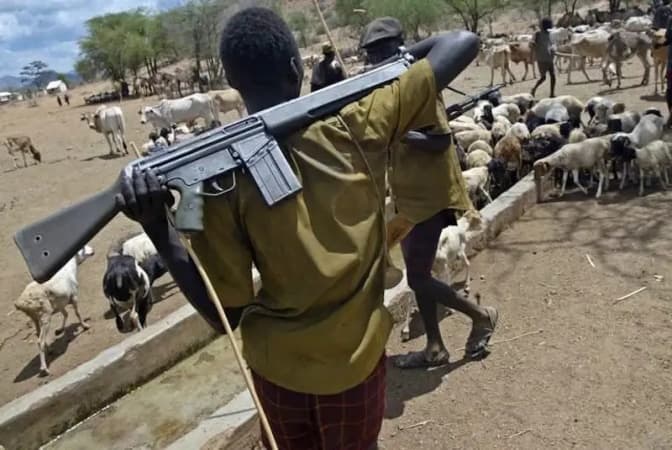Suspected herdsmen launch attack on Benue community, many feared dead