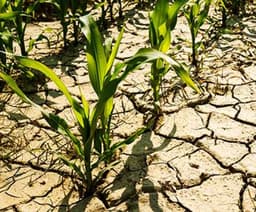 Nigerian engineer develops tech to tackle climate change