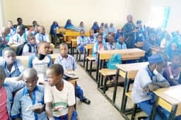 72 per cent of pupils in Borno, Yobe, Adamawa can’t read, UNICEF laments