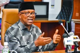 PDP begs Peter Obi to return to party
