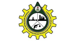 Petroleum refiners seek amnesty for illegal refiners