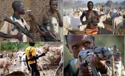 Police, soldiers among 160 killed in Benue in one month