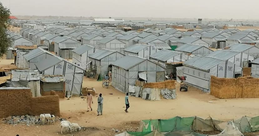 IDPs now live in mosques, motor parks — NGO raises alarm