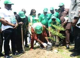 NDDC promotes tree planting, tackles environmental challenges