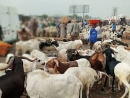 Sallah: Business owners lament low patronage, urge govt’s action