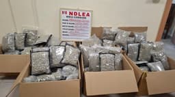 NDLEA intercepts 66 parcels of illicit drugs at Lagos airport