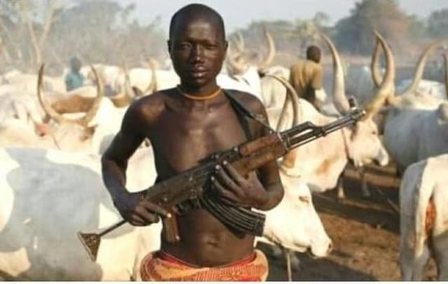 Herdsmen attacks: ?Enough is enough?, Imo community petitions Tinubu
