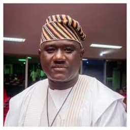 Insecurity: Benue LG boss bans forest logging activities