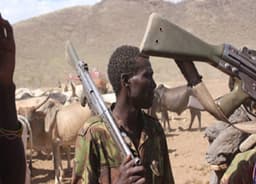 Tension grips border communities in Benue after herdsmen massacre