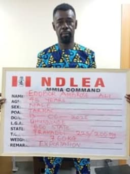 NDLEA intercepts codeine, skunk in major raids