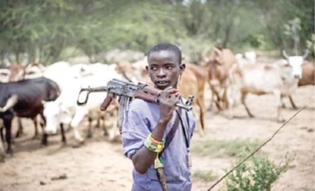 17 women, children killed in Chad intercommunal attack