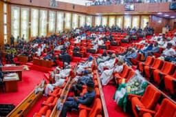 Senators bemoan further extension of 2024 budget implementation