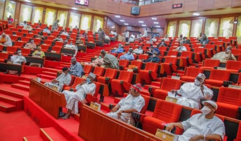 Senate confirms Adetunmbi, Akinola, 16 others for South West Devt. Commission