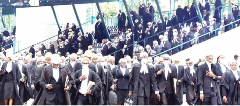 Noble profession, harsh beginnings: The plight of Nigeria’s young legal professionals