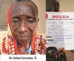 NDLEA arrests grandma, 72, others over illicit drugs in 3 states