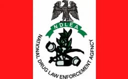 Don’t help anyone carry bags you didn’t pack, NDLEA warns travellers