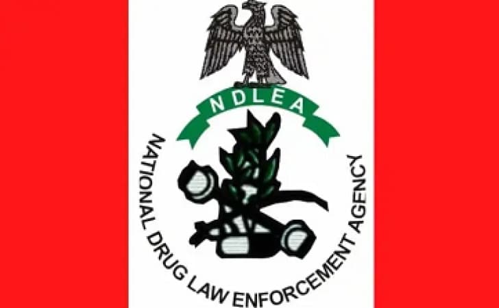 Don’t help anyone carry bags you didn’t pack, NDLEA warns travellers