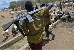 4 police officers shot dead as killer herders invade Benue community