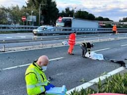 Hit-and-run driver kills Nigerian man in Italy