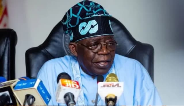 A flashback to my Open Letter of 31/01/2024 to Mr. President, Alhaji Senator Chief Ahmed Bola Tinubu GCFR, By Prof. Echefuna’ R G ONYEBEADI