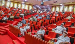 Senate approves establishment of Bitumen Development Commission