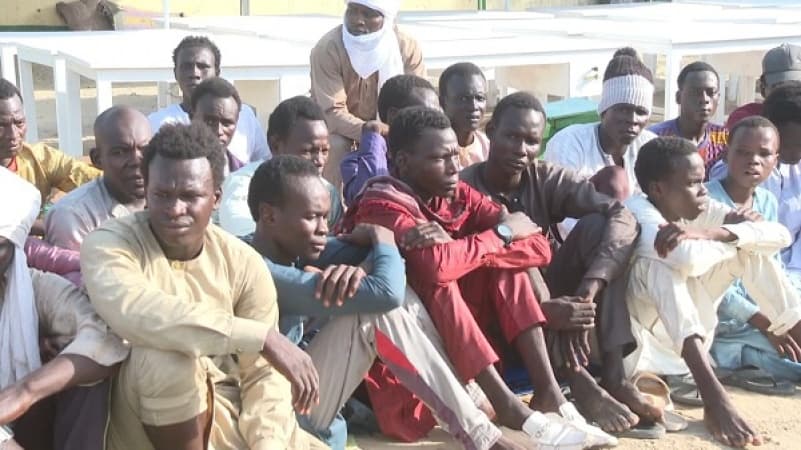 210 terrorists surrender to troops in Lake Chad region