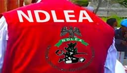 NDLEA recovers $17.7million travelers’ cheques in children books
