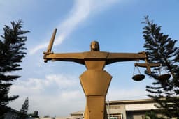 Alleged N600m agribusiness fraud: Court revokes bail over forged medical report
