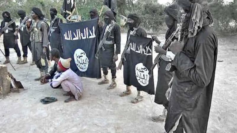 Terrorists gun down two brothers in Yobe