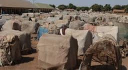 Benue residents allege ethnic cleansing as violence persists