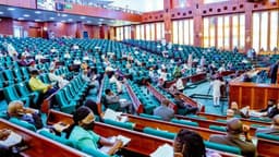 Two Chinese companies owing over N15bn in VAT — Reps