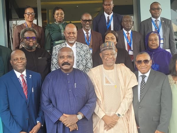 Ex-governor inaugurates new governing council for Igbinedion university